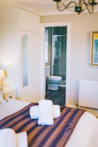 sypialnia z łóżkiem oraz łazienka z toaletą w obiekcie Ferlas Bed and Breakfast w mieście Penrhyndeudreath
