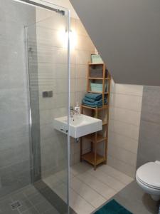 a bathroom with a sink and a shower at Apartament in Olsztyn