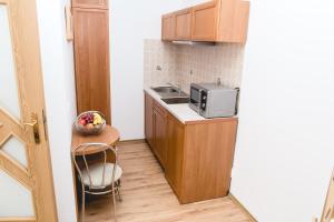 Kuchyňa alebo kuchynka v ubytovaní Apartment Olymp