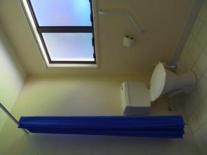 a bathroom with a toilet and a window at Kapiti Lindale Motel and Conference Centre in Paraparaumu