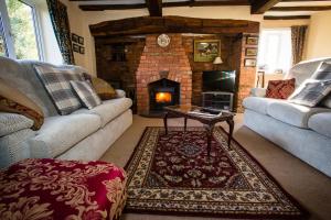 a living room with two couches and a fireplace at Millmoor Farm Holidays in Malpas
