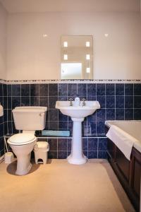 ein Badezimmer mit einem WC, einem Waschbecken und einem Spiegel in der Unterkunft Millmoor Farm Holidays in Malpas