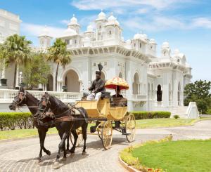 a horse pulling a carriage down a street at Taj Falaknuma Palace in Hyderabad