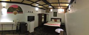 ein Schlafzimmer mit einem Bett und einem Waschbecken in einem Zimmer in der Unterkunft Tagimoucia House Hotel in Suva