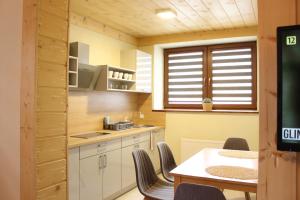 Kuchnia lub aneks kuchenny w obiekcie Apartamenty Pod Niedźwiedziem I