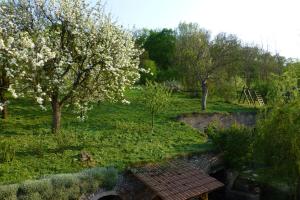 Imagen de la galería de Pod Králičím vrchem, en Milovice