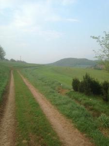 un camino de tierra en medio de un campo verde en Josefine, en Waldkappel