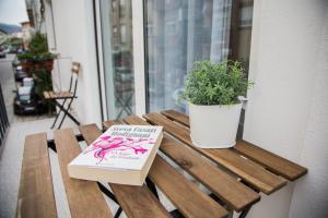 um livro e uma planta em vasos sentados num banco de madeira em Quinta da Salada - Alojamento Local Douro em Peso da Régua