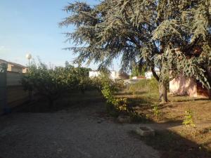 Fotografia z galérie ubytovania Casa del Abuelo - Toloño v destinácii Casalarreina