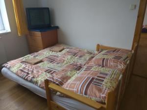 チェスキー・クルムロフにあるUbytování u Dolanskýchのベッド(掛け布団付)、テレビが備わる客室です。