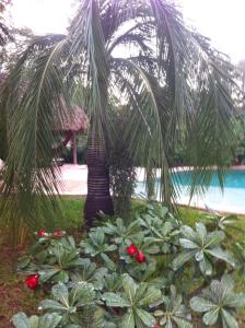 Zahrada ubytování B&B Villa Zomerland