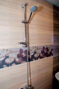 a shower in a bathroom with a painting on the wall at Комплекс Кремен in Blagoevgrad