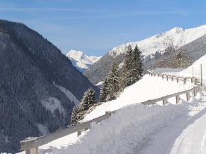 Elsenhof during the winter