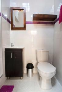 a bathroom with a toilet and a sink and a mirror at Casa Hospedaje La Bohemia in Pasto