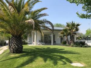 een palmboom voor een huis bij Camping San Michele in Moniga