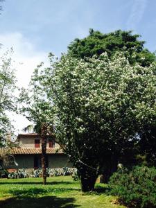 Gallery image of Agriturismo Villa Panorama in Sinalunga