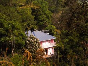 een roze huis midden in een bos bij Drizzle Valley Cottage in Munnar