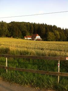 gospodarstwo rolne pośrodku pola w obiekcie Mia Margot w mieście Ehrstädt