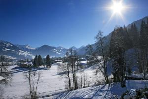 Apartment Haus Schatz en invierno