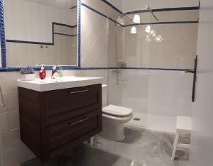 セビリアにあるREGINA apartmentのバスルーム(洗面台、トイレ、シャワー付)