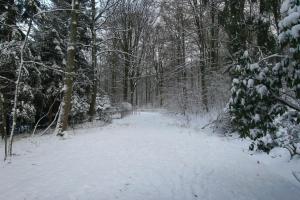 B&B Le Bois Dormant talvel