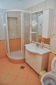 La salle de bains est pourvue d'une douche, d'un lavabo et de toilettes. dans l'établissement Apartments Toska, à Rab