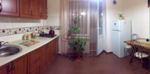 Apartment Savkas tesisinde mutfak veya mini mutfak