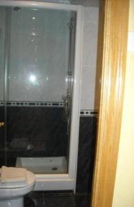 uma casa de banho com um chuveiro e um WC. em Apartamentos Paratene em Erandio