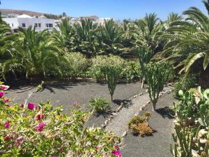 Vonkajšia záhrada v ubytovaní Casa Panama,in der Finca Mimosa