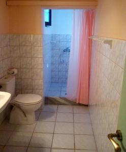 a bathroom with a toilet and a shower at Lena Blue Sea Apartments in Kalami