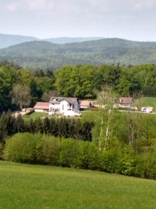 una casa en medio de un campo verde en Ferienwohnung Betula, en Fürstenstein