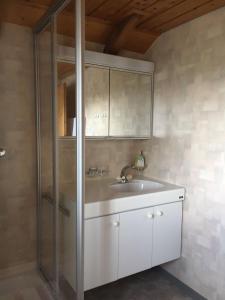 een badkamer met een wastafel en een douche bij Appartement Fernsicht Triesenberg in Triesenberg