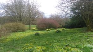 a grassy field with trees and flowers in a field at Disblair House in Newmachar