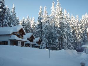 Saint George Holiday Village en invierno