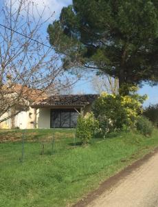 a house with a tree next to a road at La Porcherie in Saint-Sernin