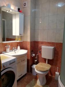um banheiro com vaso sanitário, pia e máquina de lavar em Apartment Stephanie Orange em Ohrid