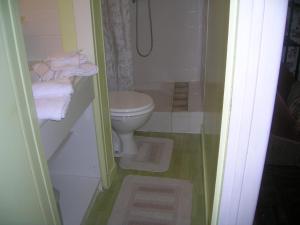 バニョール・ドゥ・ロルヌにあるStudette Villa Odetteの小さなバスルーム(トイレ、シャワー付)