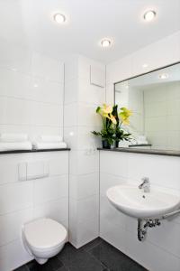 W łazience znajduje się toaleta, umywalka i lustro. w obiekcie Hotel Apartment Laforsch w mieście Dreieich