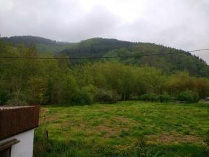 Príroda v okolí of the country house