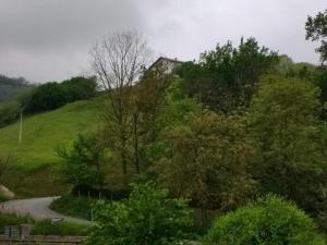 Príroda v okolí of the country house