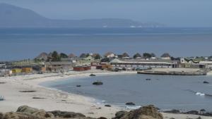 a beach with a group of buildings and the ocean at Cosmopolita Rojo in La Serena
