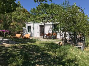 Zahrada ubytování Temenia House