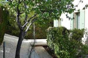 un árbol frente a un edificio blanco en Les Hauts De Reillanne en Reillanne