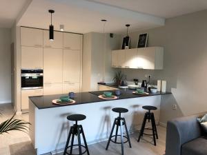 Kuchyň nebo kuchyňský kout v ubytování A11 Apartments & SPA Dermique