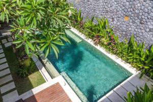 an overhead view of a swimming pool in a garden at Vishuddha Ajna Villa - Outstanding 2 bdr villa - GREAT LOCATION! in Seminyak