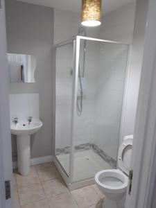 uma casa de banho com um chuveiro, um WC e um lavatório. em Derry-Londonderry city centre waterfront appartment em Derry Londonderry
