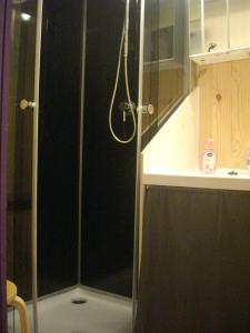 a shower with a glass door in a bathroom at Les chalets d'Alzen in Alzen