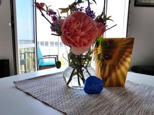 Fotografia z galérie ubytovania Apartments Sv.Jakov v Dubrovníku