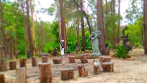 Springwood Meditation Centre 春木禪修渡假中心外面的花园