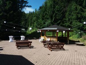 a group of picnic tables and a gazebo at Obere Schweizerhütte in Oberhof